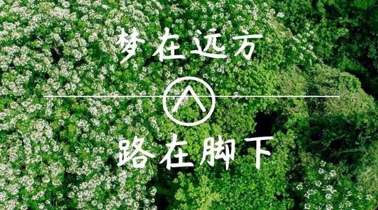上?？婆d儀器